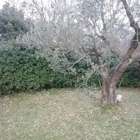 Casa Pellegrini Holiday home