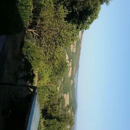 Casa Pellegrini